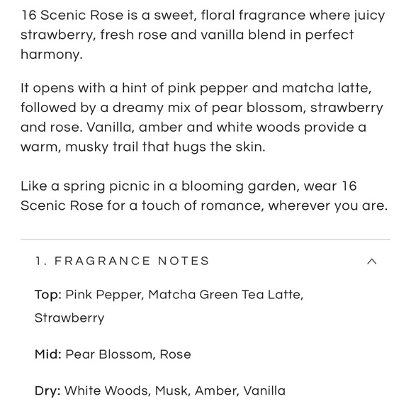 NWT Ledda 16 Scenic Rose - Picture 3 of 5